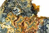 Colorful Polished Marcasite Agate Section - Indonesia #308129-2